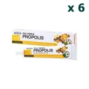 6 x Mothernest Tea Tree Propolis Tooth Paste 110g