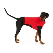 All Day Turtleneck Dog Cable Knit Red