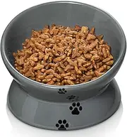 5 Inch Elevated Cat Food Bowl, Ceramic Raised Cat Bowl, Tilt Angle Protect Cat's Spine, Anti Vomiting Cat Dish, Backflow Prevention (Grey)