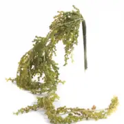 Factory Direct Craft Artificial Cascading Greenery Vine Branch for Embellis