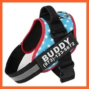 Personalized Custom Dog Harness | Dog Collar Name Dog Harness L / Blue and Stars