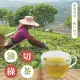 【上野物產】共90包 油切綠茶冷泡茶包 隨身包 原葉三角茶包(30包/組 共3組 2.5g/包)