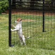 EasyPetFence No Dig Dog Fence Kit w/Gate - Multiple Mesh Types - 6' x 100'