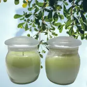 New White Barn Candle x Bath Body Works Cucumber Melon Jar Candle 15 oz + Bonus