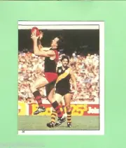 1983 ESSENDON BOMBERS SCANLENS VFL STICKER - #38 TERRY DANIHER