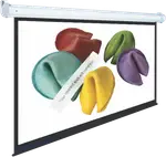 "2C Enjoy IT 106"" Manual Pull down Screen"