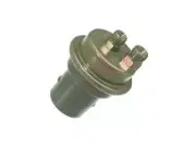 For 1975-1977 Saab 99 Fuel Accumulator Bosch 25198ZSTX 1976 (for: Saab)