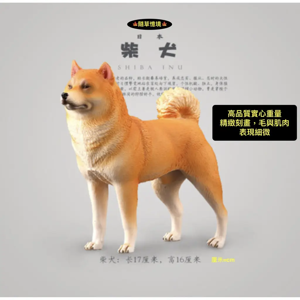 肌肉柴犬的價格推薦- 2026年01月|飛比價格