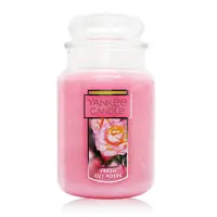 在飛比找PChome24h購物優惠-YANKEE CANDLE香氛蠟燭-剪裁玫瑰 Fresh C