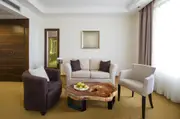 Large exquisite Saur Wood Round Coffee Table, large circumference 118 cm x 112 cm x 9 cm one of kind 100% unique designed by nature