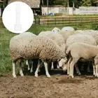 Goat Milking Machine Cow Milker Accessories Products