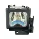 HITACHI-原廠投影機燈泡DT00461適用CPHS1000、CPHS1050、CPHS1060、CPHS1090