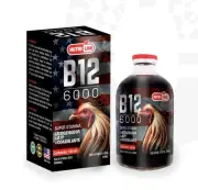 Super Vitamina B12 6000 100 ml Booster Rooster |Stamina Para Gallos exp 02/28