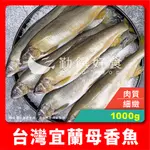 【勤饌好食】台灣 宜蘭 母香魚 6入(1000G±5%/6入/盒)冷凍 6P 香魚 抱卵 爆卵 海鮮 F46E5