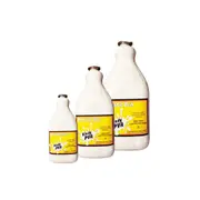 Kids PVA Glue Kindy PVA 2L Washable Kids Glue Kids Pva Pre School Glue Non Toxic