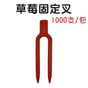 【珍愛頌】N411 草莓固定叉 1000支