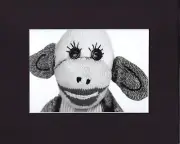 8X10" Matted Print Art Picture Photo Sock Monkey, Smiling
