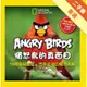 Angry Birds憤怒鳥的真面目：50種橫眉豎目、怒氣沖沖的憤怒鳥類[二手書_普通]11314928746 TAAZE讀冊生活網路書店