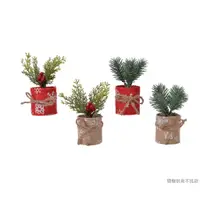 在飛比找蝦皮商城優惠-荷蘭 Kaemingk 盆栽聖誕樹/ 聖誕紅與麻布棕/ 17