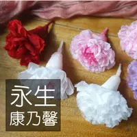 在飛比找蝦皮購物優惠-My Wonderful 永生康乃馨1朵$58【不凋康乃馨／