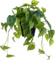 LuckyGreenery Artificial Scindapsus Aureus, Realistic Fake Plant with Plastic Pot for Home Office Garden Decoration(8in H)
