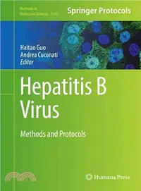 在飛比找三民網路書店優惠-Hepatitis B Virus ― Methods an