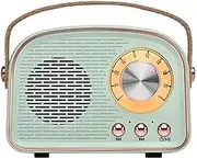 RETROGOO Wireless Retro Speaker Radio, Outdoors Portable Bluetooth Speaker Supports TWS Pairing/U-Disk/TF Card/AUX