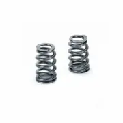Supertech SPR-MC56BE-16 Beehive Valve Spring Set of 16 For Opel / Vauxhall NEW