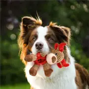 Dog Chew Christmas Reindeer Toy Durable Plush Squeak Toy for Teeth Cleaning