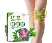 12Pcs/Bag Knee Plaster Sticker Wormwood Extract Knee Joint Paster Knee Rheumatoid Arthritis Body Patch