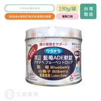 在飛比找樂天市場購物網優惠-人生製藥 渡邊 Watanabe 藍莓ADE軟錠 190克/