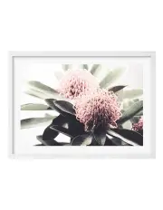 [Profile Australia] Australian Made Waratah Flowers Art Print A1 Frame in White