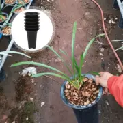 6 Pcs Plant Container Orchid Pots Special for Orchids Flower Planter