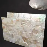 Natural 1mm Freshwater Shell Laminate Sheet for Crafts & Wood Inlay 240x140mm