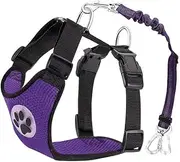 Dog Car Vest Harness Seatbelt Set, Dog Car Adjustable Pet Harness with Safety Seat Belt, Double Breathable Mesh Fabric Harness with Vehicle Connector Strap for Small Medium Large Dogs (Medium)