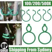 UP 500X Garden Plant Clip Reusable Fruits Tomato Vine Grow Support Holder Straps