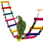 Stand Swing Hammock Parrot Toys Set Chewing Toy Bird Perch Climbing