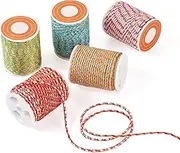 Beadthoven 21.5 Yards 1.5mm Braided Cord Colorful Beading Bracelet Strings Metallic Cord Chinese Knotting Cord Rope Macrame Cord for Jewelry Making DIY Crafts Wall Hangings Plant Hanger Knitting