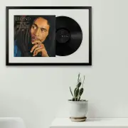 Framed Foo Fighters Greatest Hits Vinyl Album Art