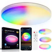 48W Round LED Ceiling Light RGB Changing Remote WiFi App Control Alexa Dimmable