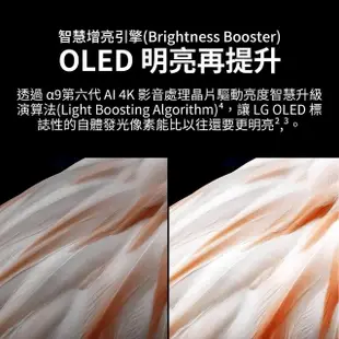 【LG 樂金】65型OLED evo C3極致系列 4K AI物聯網智慧電視(OLED65C3PSA)