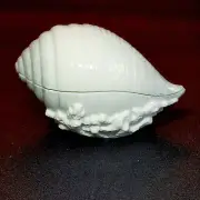 LENOX SEA, SAND & SKY ROSE SHELL COVERED BOX w LID, Porcelain, New In Box