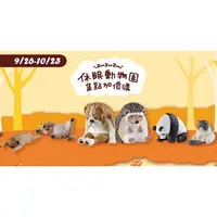 在飛比找蝦皮購物優惠-現貨‼️全家集點 休眠動物園 功能小物 短毛貓🐱