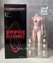 TBLeague Phicen Female Seamless MID bust body w/ Steel Skeleton Pale 1/6 S22A