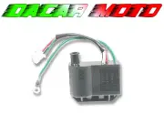 CONTROL UNIT Elec Malaguti 50 F15 Fire Fox Twin Disks Digit Kat 2000 RMS