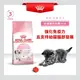 Royal 皇家 K36 幼貓 專用飼料 2kg 幼貓飼料 哺乳母貓