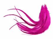 1 Dozen - Medium Solid Hot Pink Rooster Saddle Whiting Hair Feathers Feathers