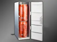 在飛比找Yahoo!奇摩拍賣優惠-【婷婷小屋】60台灣保固冷熱兩用 usb小冰箱 大號冰箱 迷