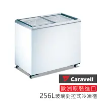 在飛比找Yahoo奇摩購物中心優惠-歐洲丹麥Caravell 品牌原廠輸入 玻璃對拉冷凍櫃 25