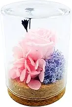 Daseeme Preserved Real Rose Flower Eternal Rose in Glass Scented Forever Rose Flower Present for Women Mother's Day Valentine Romc Wedding Home Party Festivals Anniversary Eve